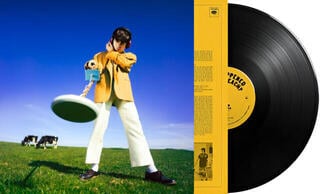 LP plošča Declan McKenna - What Happened To The Beach? (Eco Mix) (LP) - 1