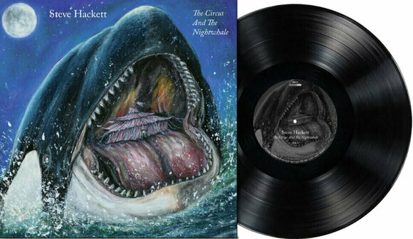 Disque vinyle Steve Hackett - The Circus And The Nightwhale (LP) - 2