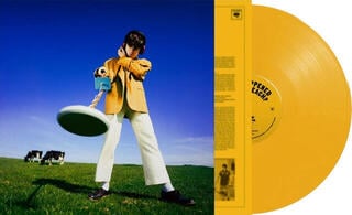 LP plošča Declan McKenna - What Happened To The Beach? (Limited Edition) (Yellow Coloured) (LP) - 1