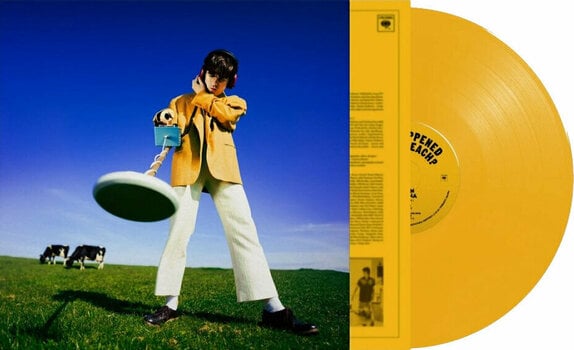 Vinylskiva Declan McKenna - What Happened To The Beach? (Limited Edition) (Yellow Coloured) (LP) - 2
