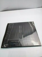 David Poltrock - Mutes (LP + CD) Disco de vinilo