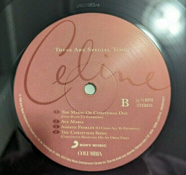 Schallplatte Celine Dion - These Are Special Times (Reissue) (2 LP) - 3