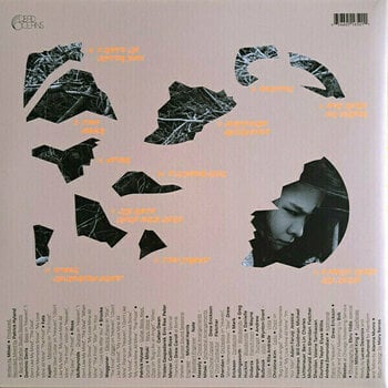 Płyta winylowa Mitski - The Land Is Inhospitable And So Are We (LP) - 5