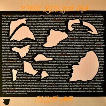 LP deska Mitski - The Land Is Inhospitable And So Are We (Robin Egg Blue Coloured) (LP) - 6