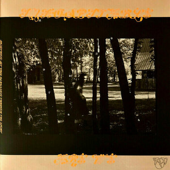 LP deska Mitski - The Land Is Inhospitable And So Are We (Robin Egg Blue Coloured) (LP) - 7