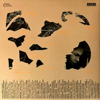 Vinylskiva Mitski - The Land Is Inhospitable And So Are We (Robin Egg Blue Coloured) (LP) - 8