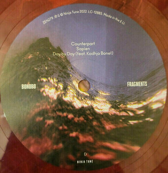 Vinylskiva Bonobo - Fragments (Red Marble Coloured) (2 LP) - 6