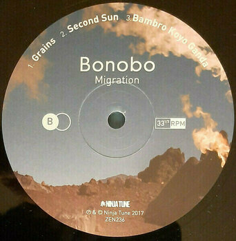 Disc de vinil Bonobo - Migration (180 g) (2 LP) - 3