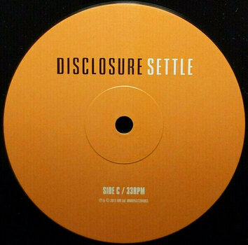 Vinyl Record Disclosure - Settle (2 LP) - 4