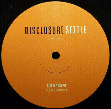 Vinyl Record Disclosure - Settle (2 LP) - 5