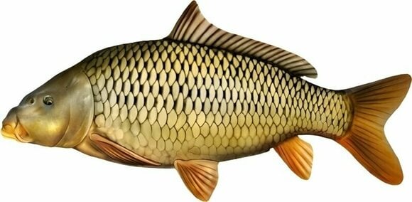 Other Fishing Tackle and Tool BeCare Pillow S 28 cm Common Carp - 2
