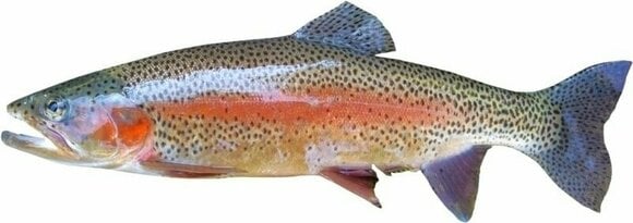 Other Fishing Tackle and Tool BeCare Pillow 52 cm Rainbow Trout - 2