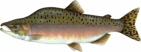 Andet fiskegrej og værktøj BeCare Pillow Salmon 62 cm - 2