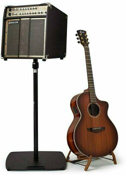 Combo for Acoustic-electric Guitar Genzler Acoustic Array PRO - 4