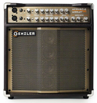 Combo for Acoustic-electric Guitar Genzler Acoustic Array PRO - 6