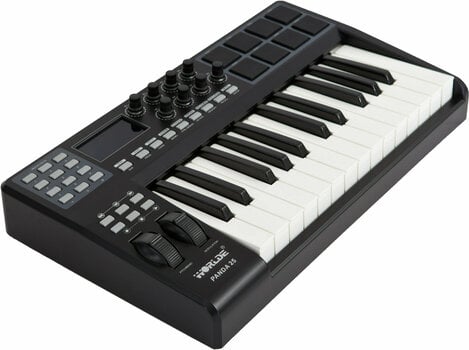 MIDI toetsenbord Worlde PANDA-25 - 6