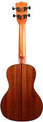 Koncertné ukulele Kala KA-SCG-EQ Natural Koncertné ukulele - 1