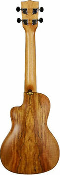 Koncertní ukulele Kala Spruce Top Spalted Maple Travel Concert Ukulele with Gigbag - 3