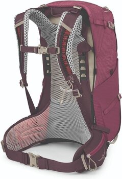 Outdoor Backpack Osprey Sirrus 34 Elderberry Purple/Chiru Tan Outdoor Backpack - 2
