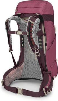 Outdoor Backpack Osprey Sirrus 26 Outdoor Backpack - 2