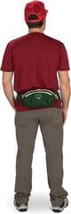 Wallet, Crossbody Bag Osprey Daylite Waist Pack Waist Bag Rattan Print/Rocky Brook - 7