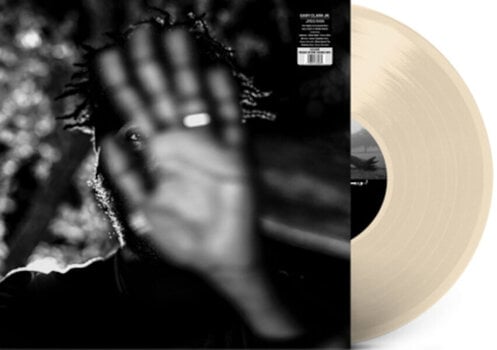 Vinyl Record Gary Clark Jr. - JPEG RAW (Bone Coloured) (Limited Edtion) (2 LP) - 2