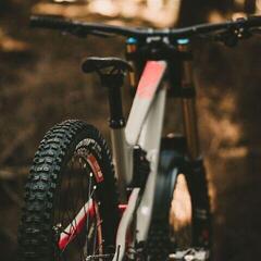 MTB Fahrradreifen Goodyear Newton MTR Downhill Black - 3