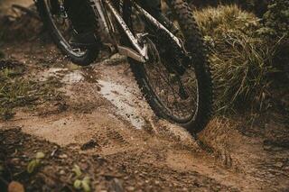 MTB Fahrradreifen Goodyear Newton MTR Downhill Black - 4