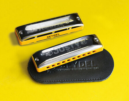 Diatonic harmonica Seydel Junior Starter Kit - 2