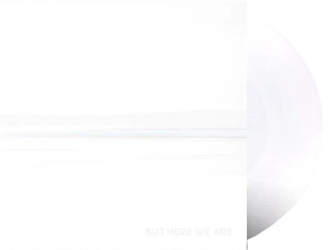 Vinylplade Foo Fighters - But Here We Are (White Coloured) (LP) - 2