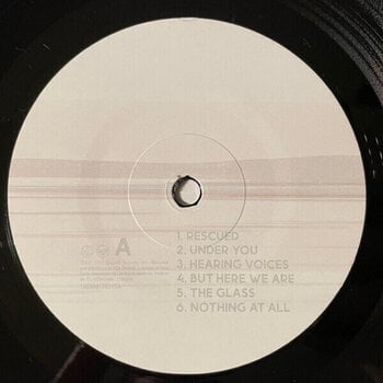 Vinylplade Foo Fighters - But Here We Are (LP) - 2