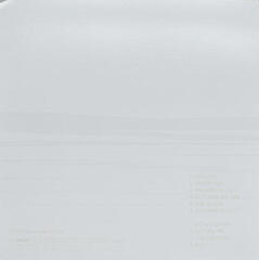 Vinyl Record Foo Fighters - But Here We Are (LP) - 3