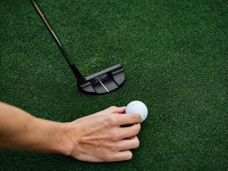 Palica za golf - puter TaylorMade TP Black 8 Desna ruka 35'' - 10