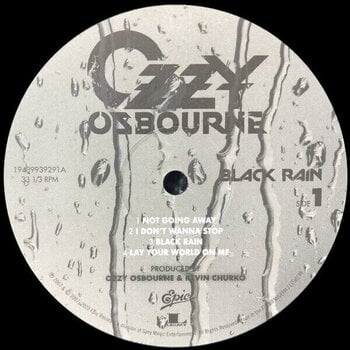 Vinyl Record Ozzy Osbourne - Black Rain (Reissue) (2 LP) - 2