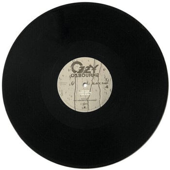 Vinyl Record Ozzy Osbourne - Black Rain (Reissue) (2 LP) - 9