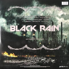 LP ploča Ozzy Osbourne - Black Rain (Reissue) (2 LP) - 6