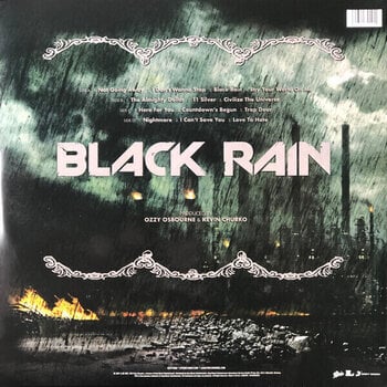 Vinyl Record Ozzy Osbourne - Black Rain (Reissue) (2 LP) - 10