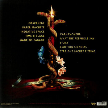 Δίσκος LP Queens Of The Stone Age - In Times New Roman... (2 LP) - 2