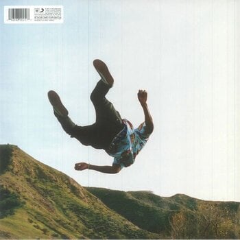 Schallplatte Tyler The Creator - Wolf (Pink Coloured) (2 LP) - 6