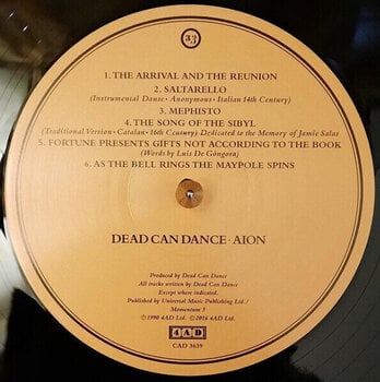Vinyl Record Dead Can Dance - Aion (Reissue) (LP) - 2