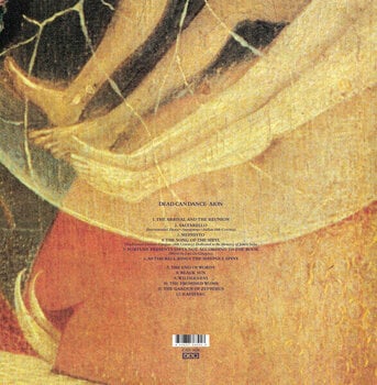 Disque vinyle Dead Can Dance - Aion (Reissue) (LP) - 3