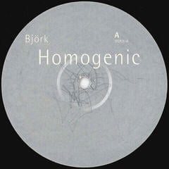 LP ploča Björk - Homogenic (LP) - 2