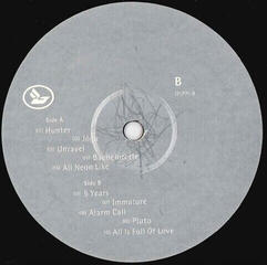 LP ploča Björk - Homogenic (LP) - 3