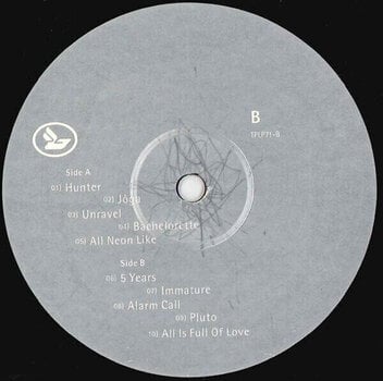 Vinylplade Björk - Homogenic (LP) - 3