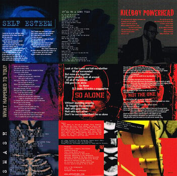 Vinylskiva The Offspring - Smash (Reissue) (LP) - 5