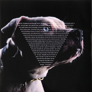 LP deska Roger Waters - The Dark Side of the Moon Redux (2 LP) - 4