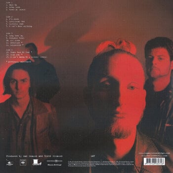 Грамофонна плоча Mad Season - Above (Reissue) (Remastered) (2 LP) - 6