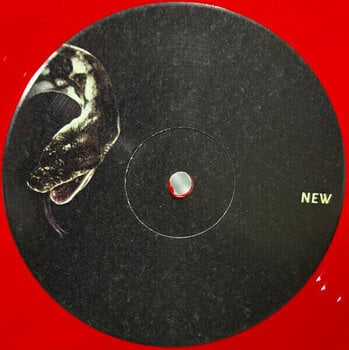 Disco de vinilo Queens Of The Stone Age - In Times New Roman... (Red Coloured) (2 LP) - 3