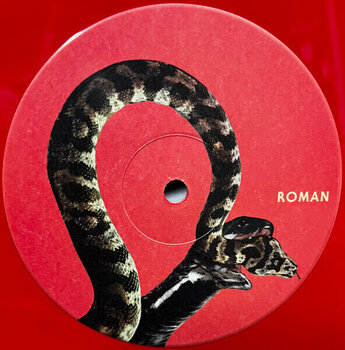 Disco de vinilo Queens Of The Stone Age - In Times New Roman... (Red Coloured) (2 LP) - 5