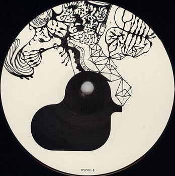 Disco in vinile Björk - Vespertine (180g) (2 LP) - 3
